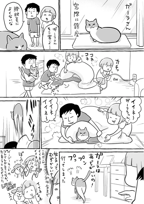 ゆずれない思いガーラさん 