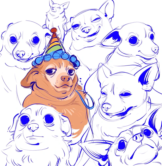 A bit obsessed with that cheddar dog 