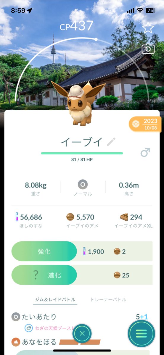 Pokemon19962861 tweet media