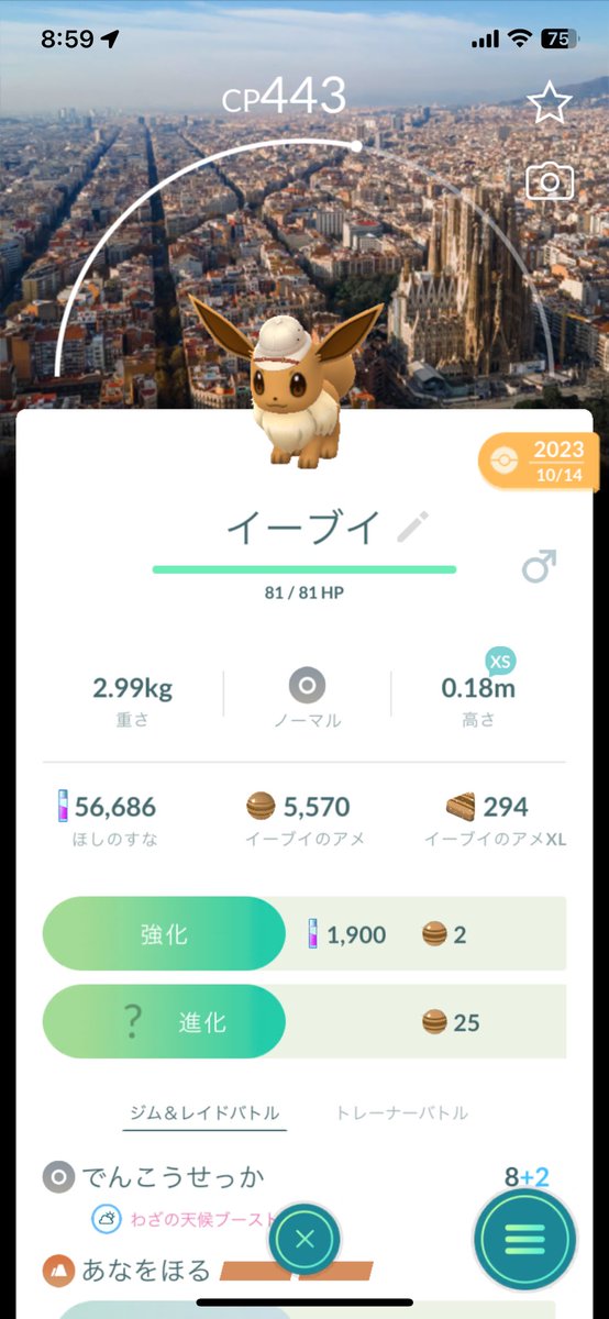 Pokemon19962861 tweet media