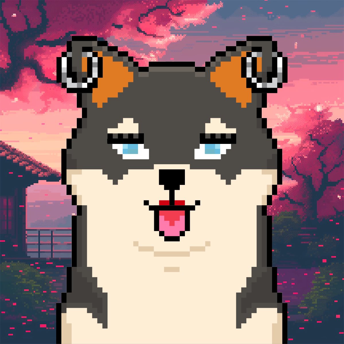 THE SHEBOSHIS 🎀 tweet media