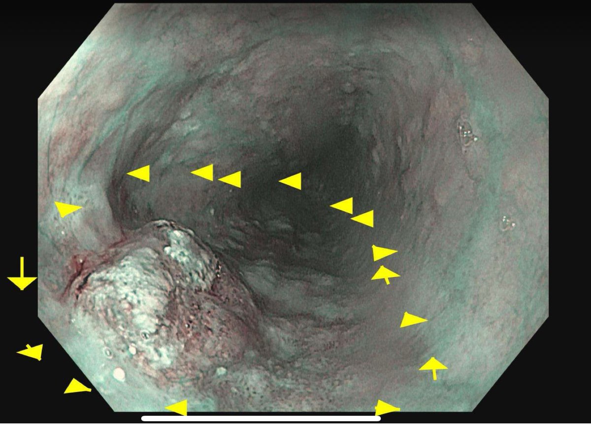 Kenneth Park, MD, MSc, DABOM tweet media