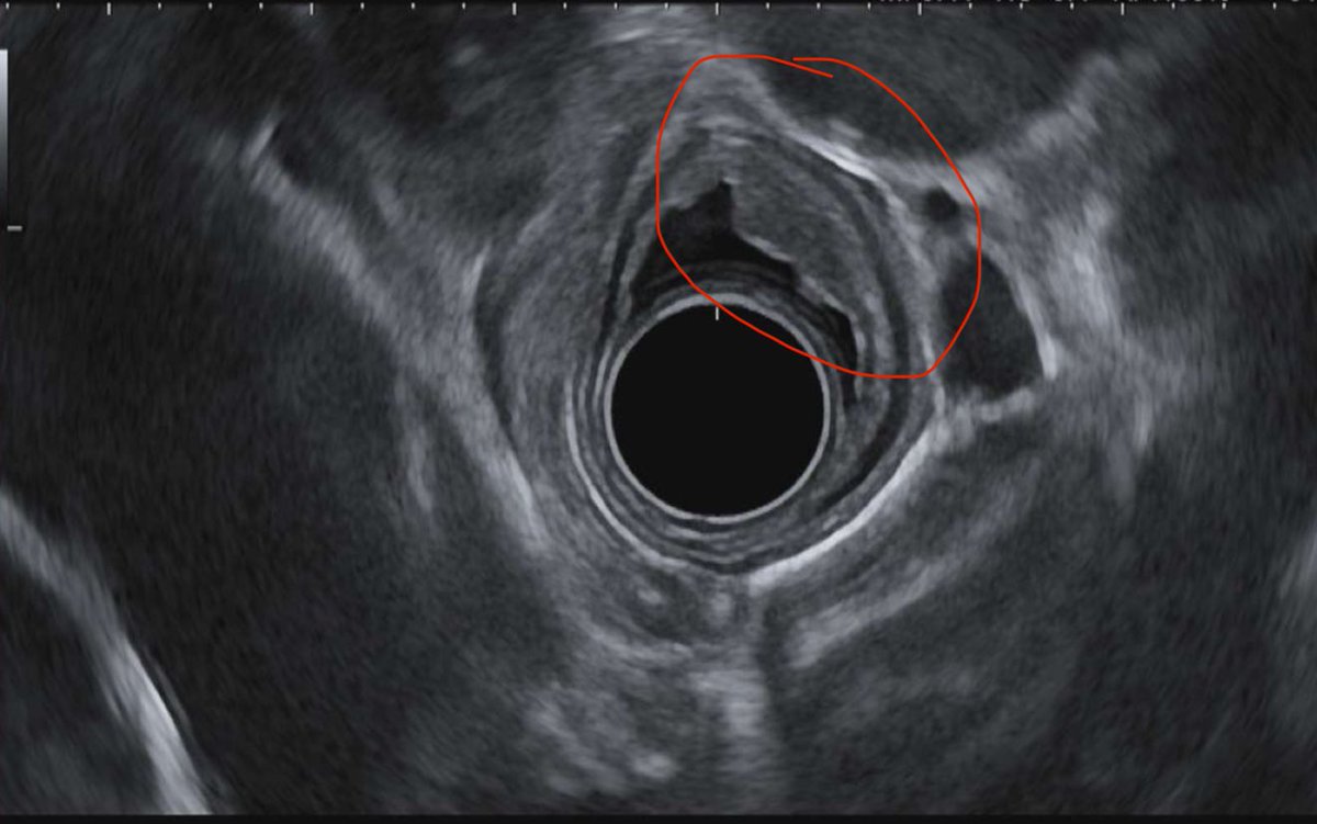 Kenneth Park, MD, MSc, DABOM tweet media