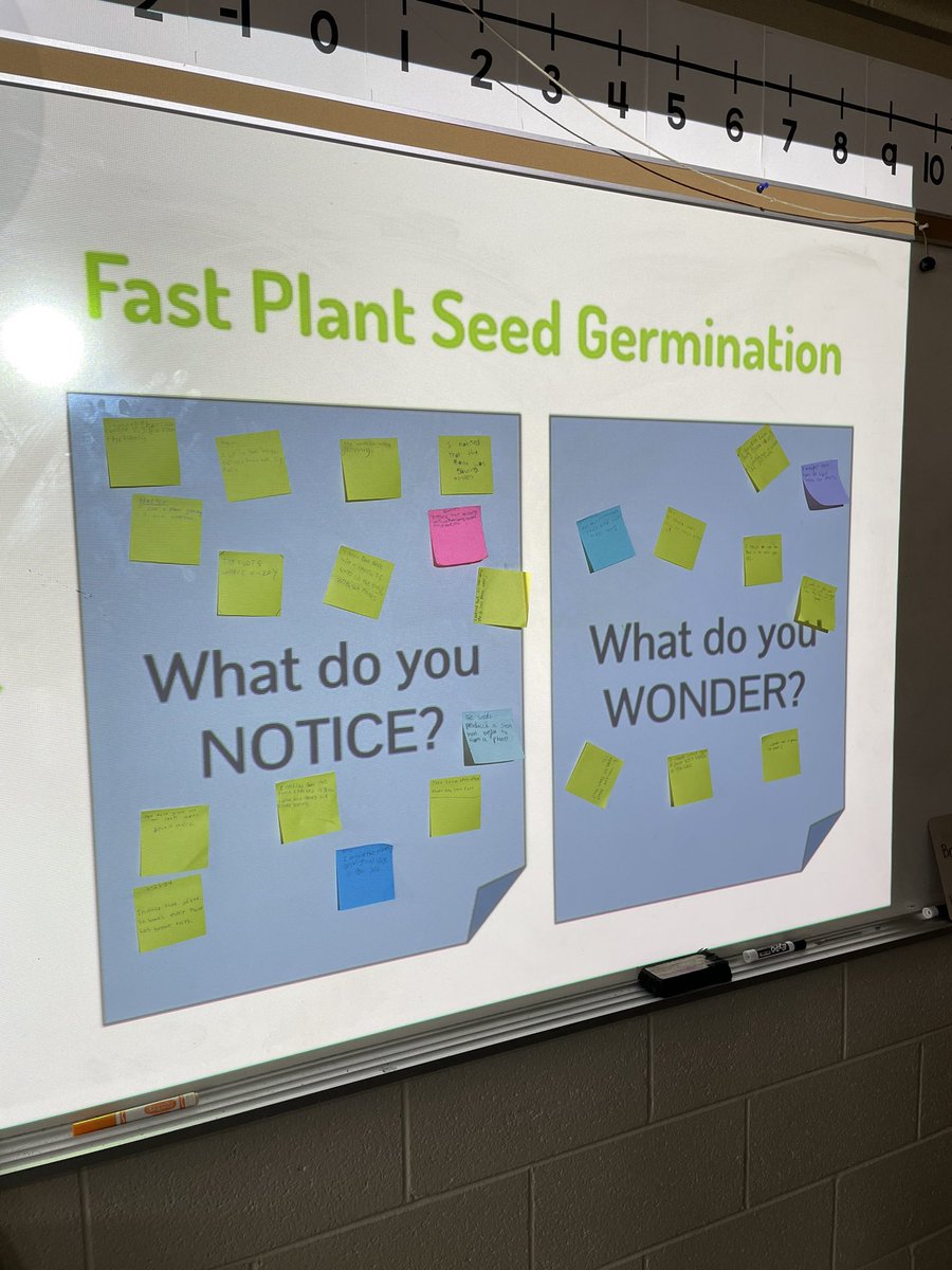 MissPattison5's tweet photo. Today in science we watched a time lapse of plants growing and brainstormed some notice and wonders. We’re excited to plant some seeds next week and see the growth for ourselves! #pinewoodpride https://t.co/zVuor2grWd