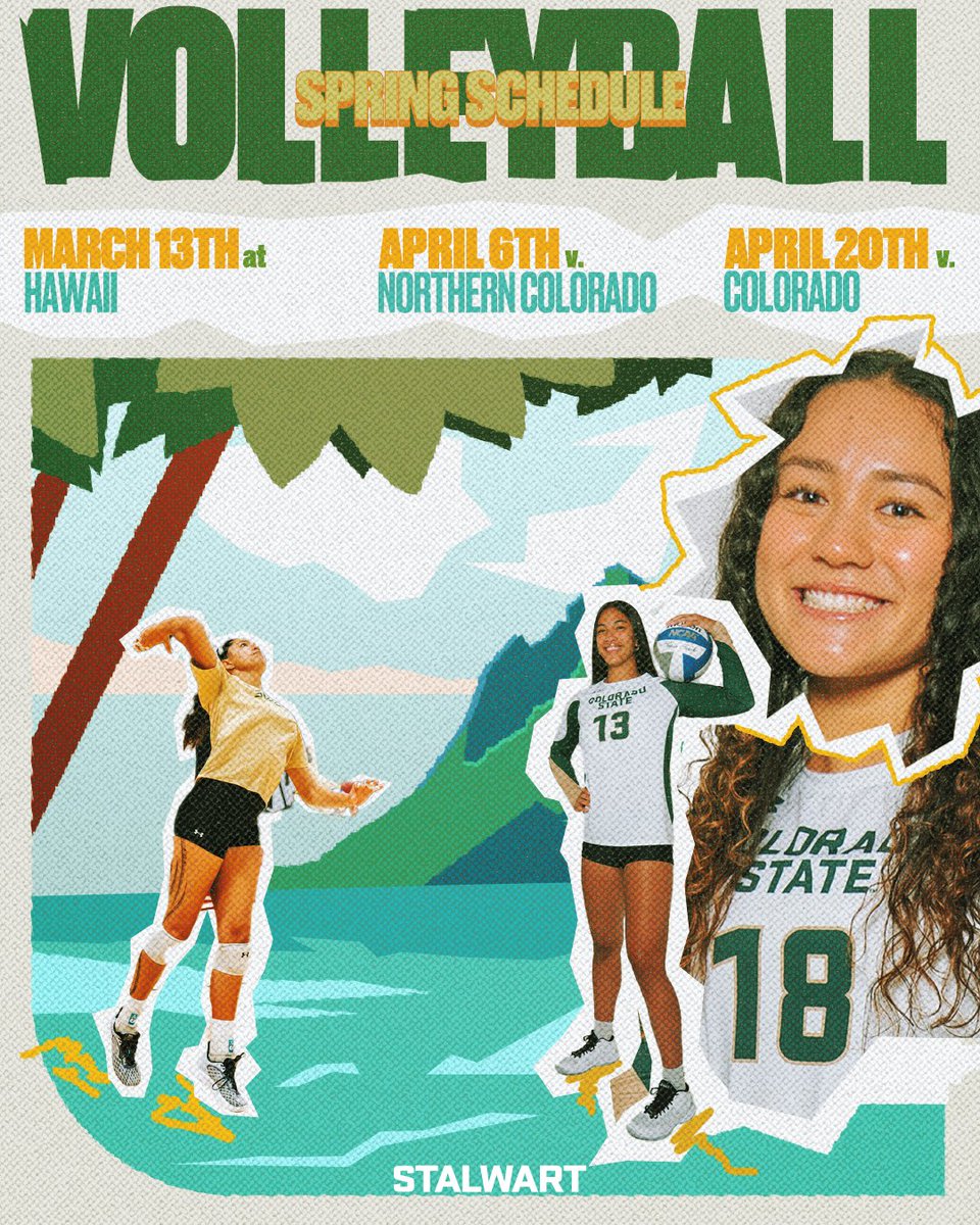 Colorado State Volleyball tweet media