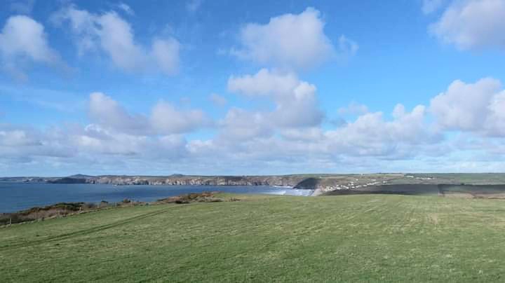 @justmenature This is a rare bright day in February (our winter) 🌿🌤🐑 🌊🏴󠁧󠁢󠁷󠁬󠁳󠁿
