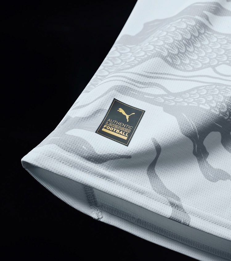 FRBlueMoon's tweet photo. 🥶 𝑪𝑶𝑵𝑪𝑶𝑼𝑹𝑺 pour gagner le maillot 'Année du Dragon' de @ManCity ! 🔥🐲🧨

1⃣ RT/Like ce tweet !
2⃣ Follow @__MaxMaillots et @FRBlueMoon ! 👕
3️⃣ Tague un ami ! 🤍

⏳ TAS dans 5 jours ! (Mercredi) https://t.co/gbLtIJqZNc
