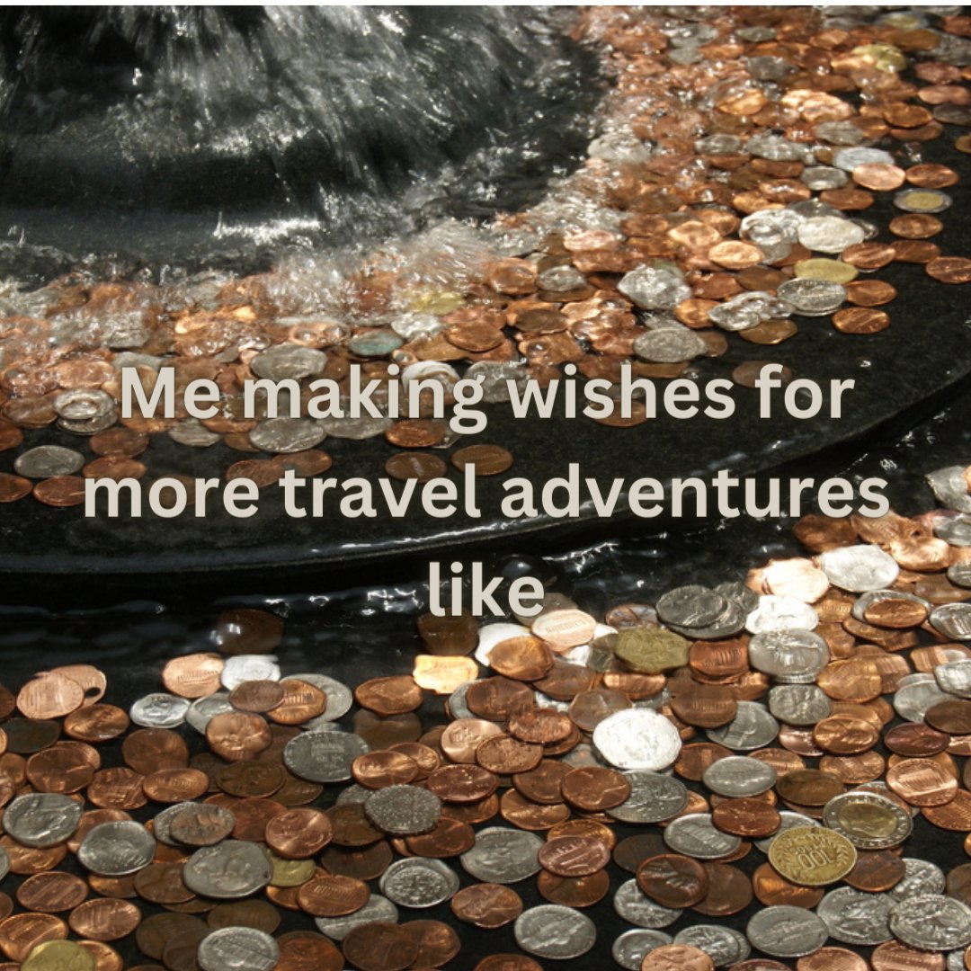 tripstastestips's tweet photo. Friday's Funny!

Where do you wish to go? https://t.co/uO9a4EQ5MR