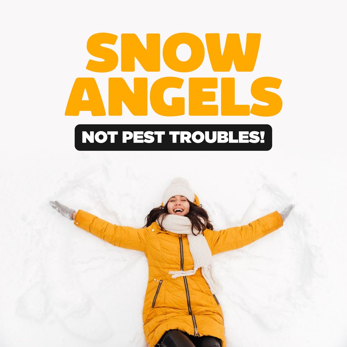EmpireExt's tweet photo. Snow Angels, Not Pest Troubles! ⛄🚫 Enjoy the beauty of #winter without worrying about #unwanted #guests. Empire Exterminators is your reliable partner for effective #pest #control. Wishing you a cozy and pest-free #February

Visit https://t.co/h0j4Az58LZ or call 917-939-9300 https://t.co/soYEx0sQM6