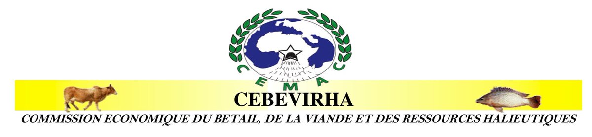 Commission de la CEMAC tweet media