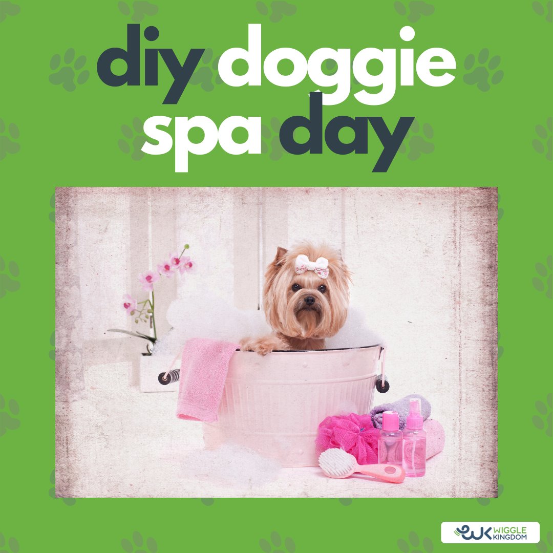 Spa day, the doggy way! 🐾💖 

1️⃣ Pawdicure for happy paws. 
2️⃣ Bubble bath for that sparkle. 
3️⃣ Aromatherapy for the soul. 

Dive into #ThankPawsItsFridaySpa & share your #PamperedPooch moments. How do you spoil your furry friend? 

#SmallDogLove #DIYDogSpa #Dogs
