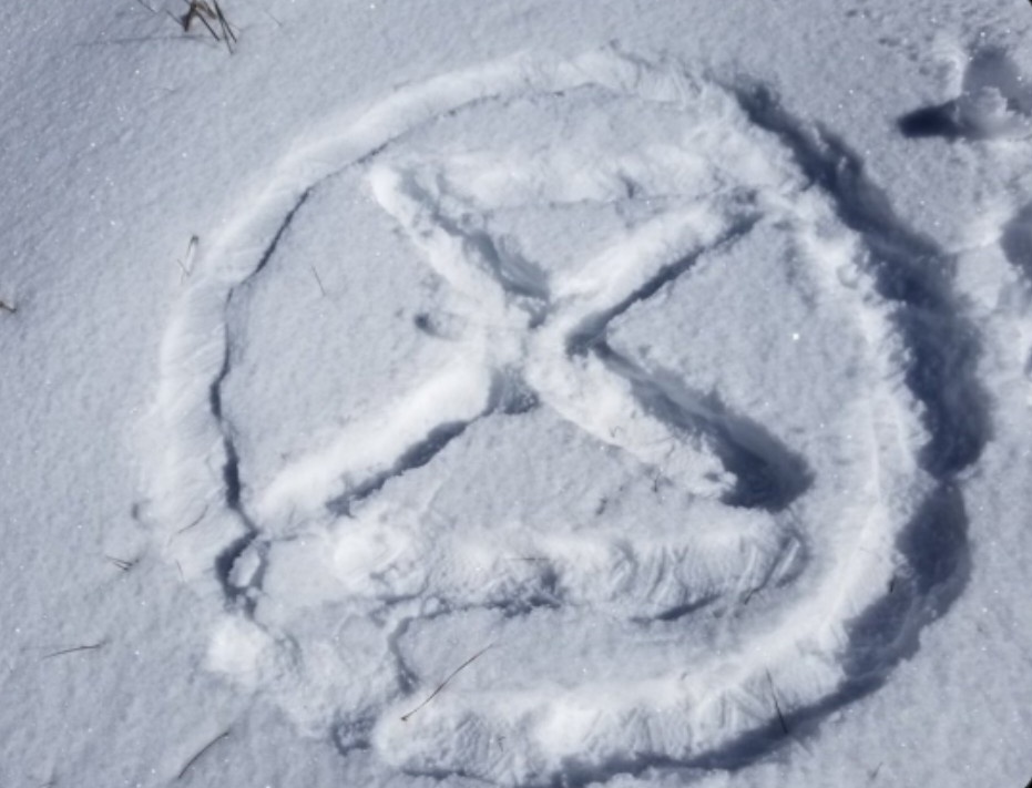 Create the extinction symbol where people will see it. Time is running out. This one from 2019 at Palomar Mountain, (there is no snow there this year). #ExtinctionIsForever