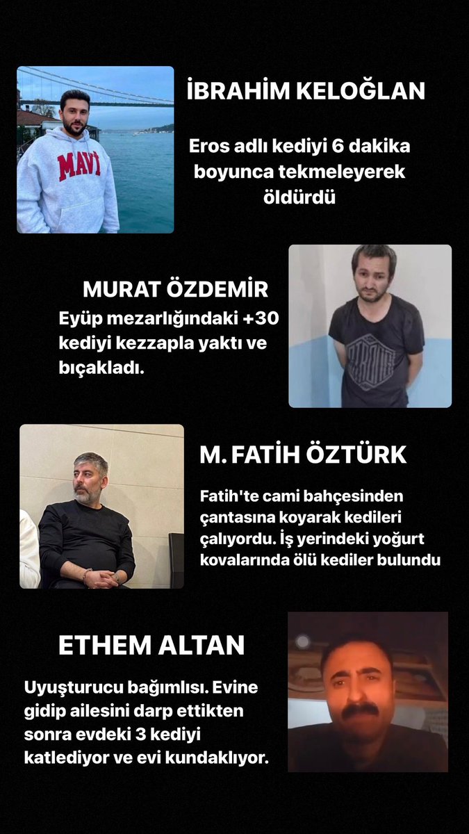 guclusinemm's tweet photo. Neden mi tutuklansınlar 👇🏻

Cereni katleden katil . “İstanbul’dayken sevdiğim kedilerin başını taşla eziyordum, birinin kalbini çıkarmıştım” demişti savcılık ifadesinde hatırladınız mı ? 

#NeZamanTutuklanacak 
#ibrahimkeloğlanTUTUKLANSIN https://t.co/XtpTizr9Q8