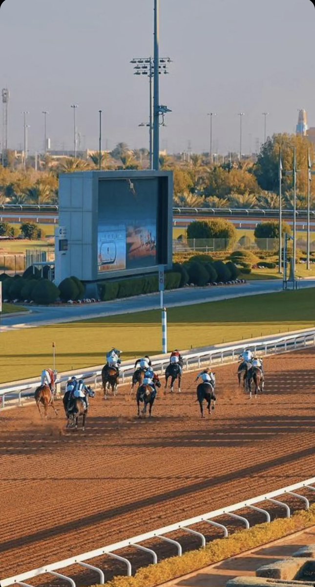 وكم من بطل بعمر الثلاث سنوات خانته الظروف وبعض القرارات ولان يستطيع اللحاق بالركب في كأس المؤسس 

عندك بطل لا تضيعه بكثر المراكيض ⁉️
أختيار الشوط المناسب نص المكسب 🧐 

وتحدي الخياله اليوم فيه أبطال غابت بسبب أخطاء بسيطة 🐎

والعوض فالقادم بأذن الله 👍🏻