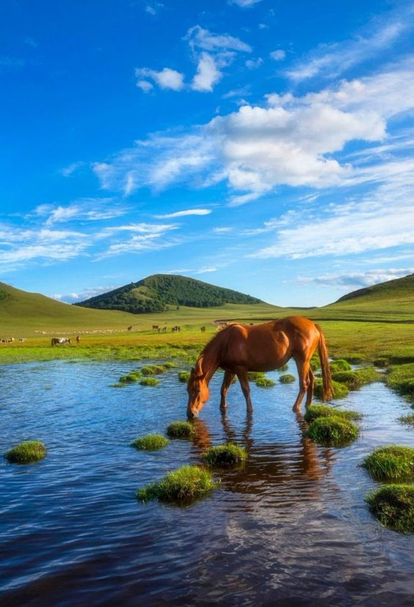 🔷 festina lente 🔷

🔹 Hurry up slowly.
🔹 Beeilen Sie sich langsam.
🔹Yavaşça acele et.