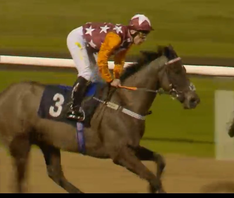 1st winner of 2024 ! Lawman’s Blis wins 2nd time out for @ivanfurtado21 @WolvesRaces. Stable in top form and Blis looks as good as ever. Great ride from Dale swift to bring the big lad with a well timed run.