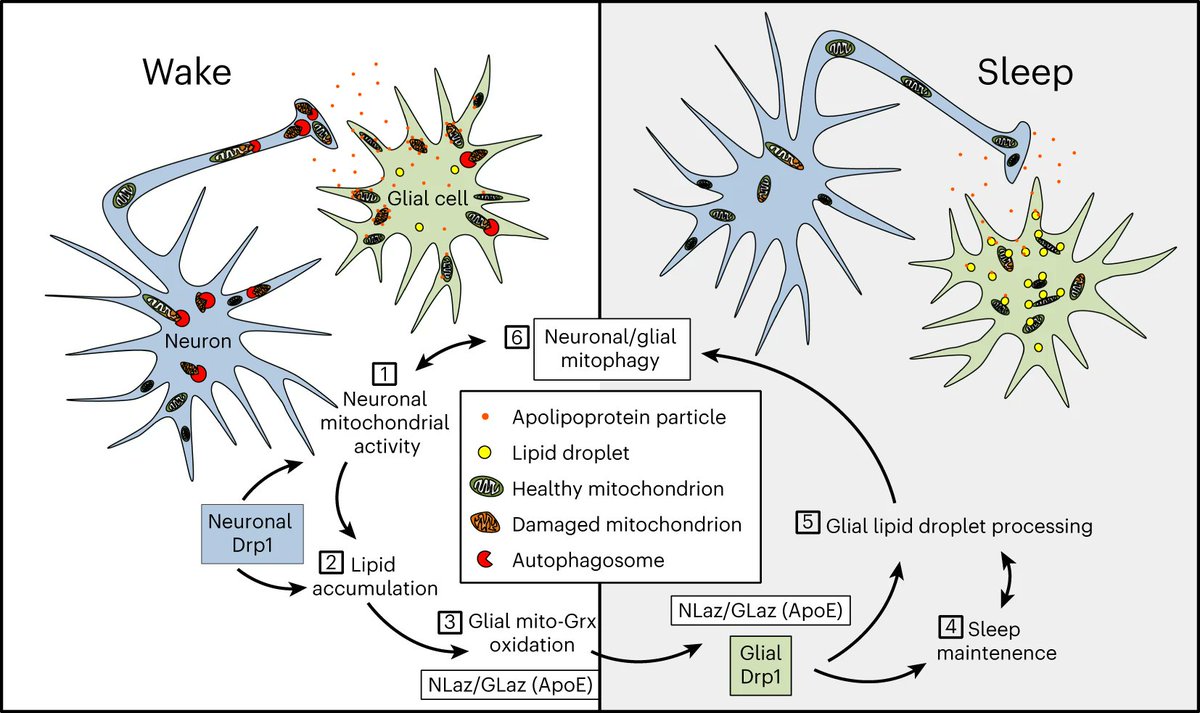 Penn Medicine CSO tweet media