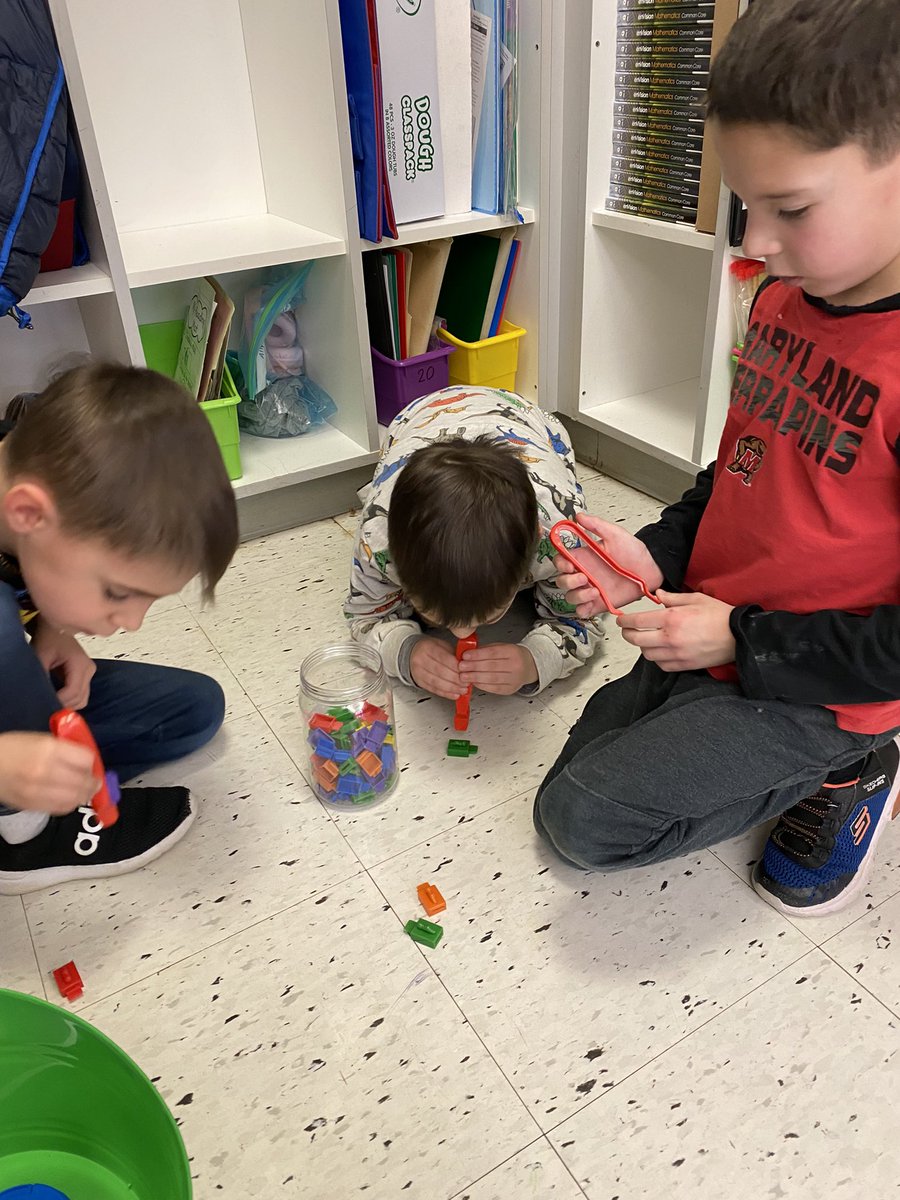 The students in Miss Santangelo’s class investigating bird beaks to learn about how animal body parts help them survive.