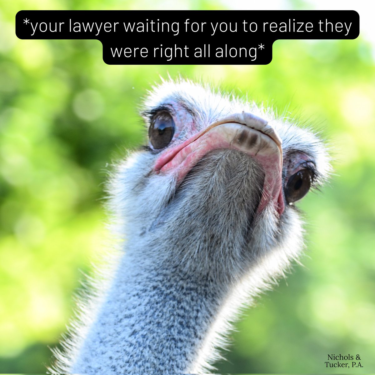 portlandMElaw's tweet image. Thank God it&apos;s Friday!! 😆 #ｔｇｉｆ 
#memes #attorneyproblems #lawyerissues #Maine #law #FridayVibes #friday #Oscars2024