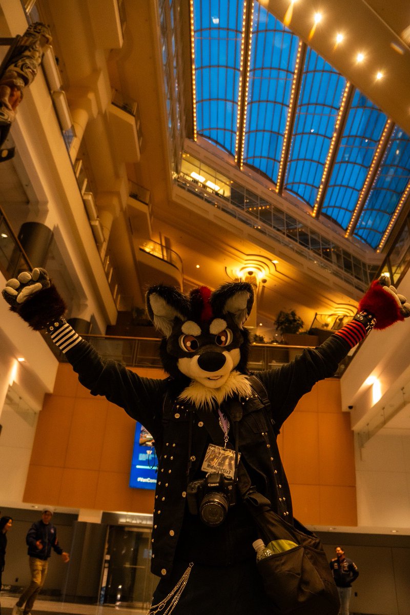 First ever #FursuitFriday ! This is  Midnight, the Mexican gray wolf! 🐺

📸 Lovely pic taken my <a href="/herelieshashtag/">Jesse Snow</a>