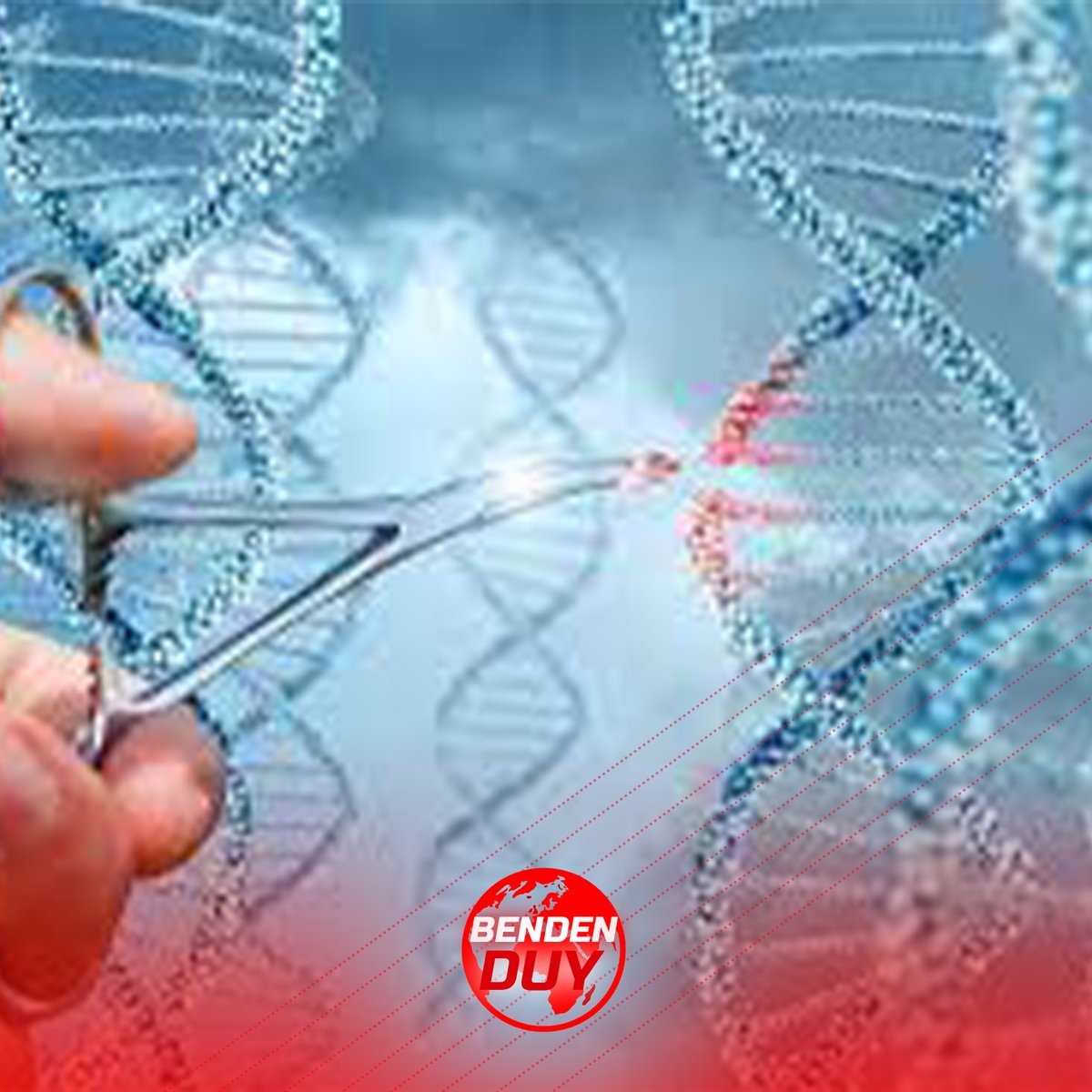 benden_duy's tweet photo. #TarihteBugün

23 Şubat 1954 - DNA'nın Yapısı Keşfedildi:

James Watson ve F. C., DNA'nın yapısal modelini açıkladıkları ünlü Nature makalesini yayınladılar. Bu makale, DNA'nın çift sarmal yapısını tanımladı ve genetik biliminin ilerlemesinde devrim niteliğinde bir adım oldu. https://t.co/o2yTotdWGz