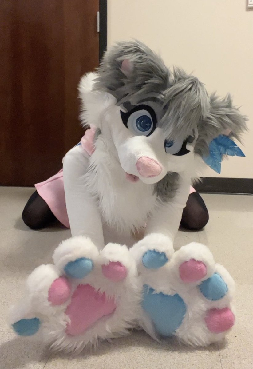 KantoKit's tweet image. Ask me for Paw Pics one more time and I'll Wack you With em!