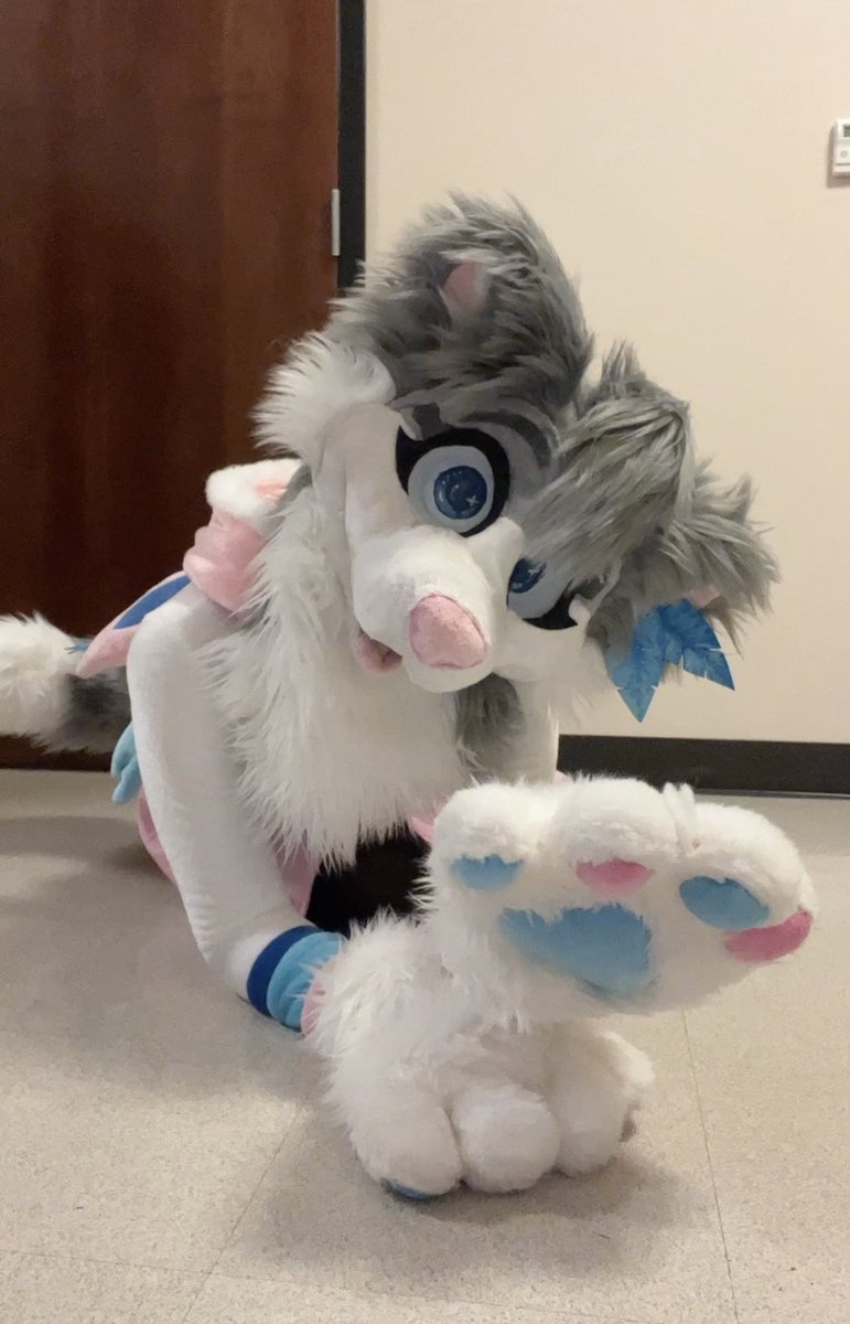 KantoKit's tweet image. Ask me for Paw Pics one more time and I'll Wack you With em!