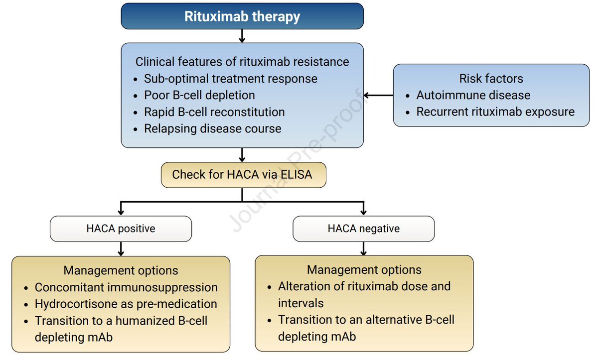 Rituximab Resistance in Glomerular Diseases: A GlomCon Mini-Review 

buff.ly/3wt80CG