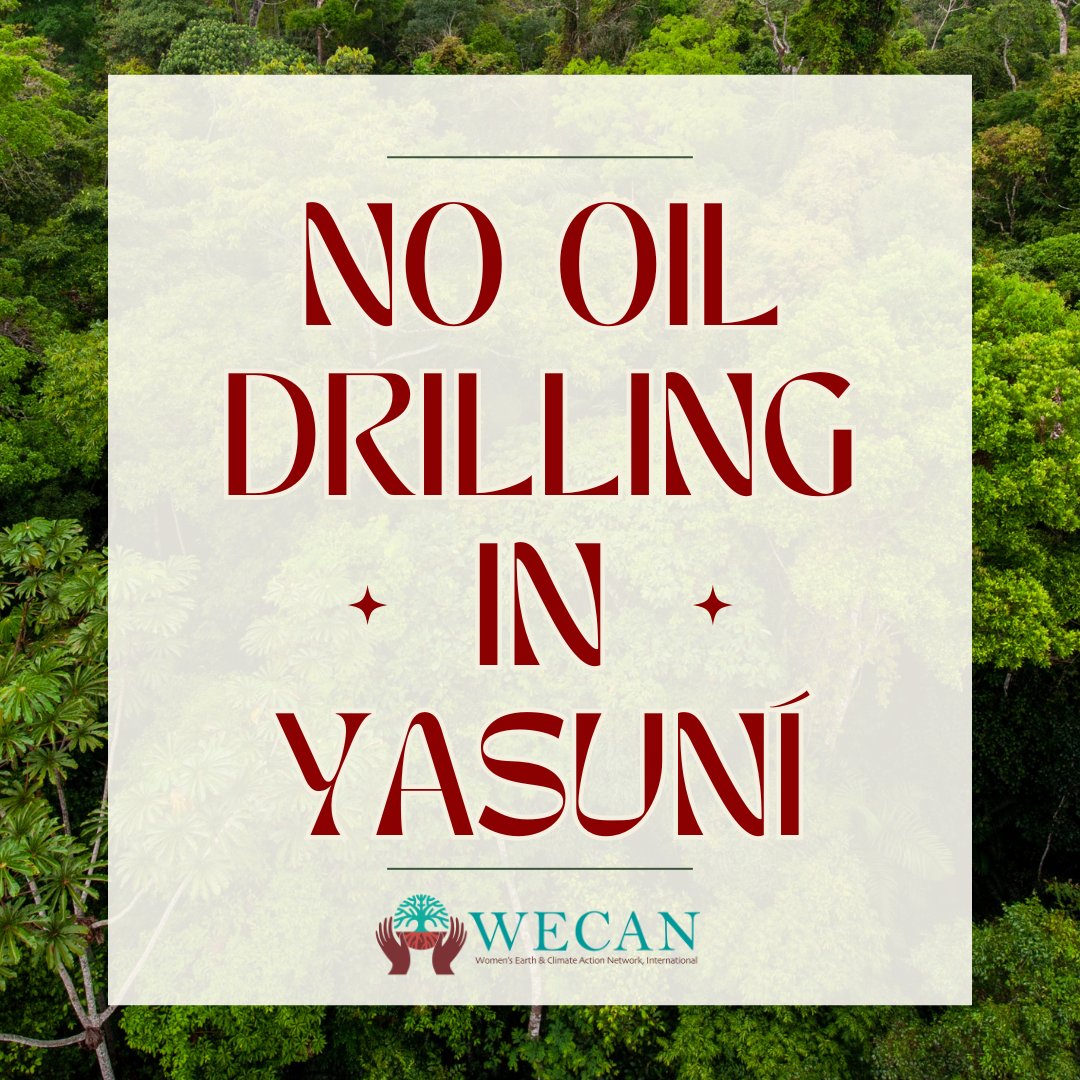 TAKE ACTION 🚨 Please join our colleagues at Amazon Watch to demand the Ecuadorian president listen to the people’s vote and protect Yasuni and prioritize Indigenous right and biodiversity. #endamazoncrude