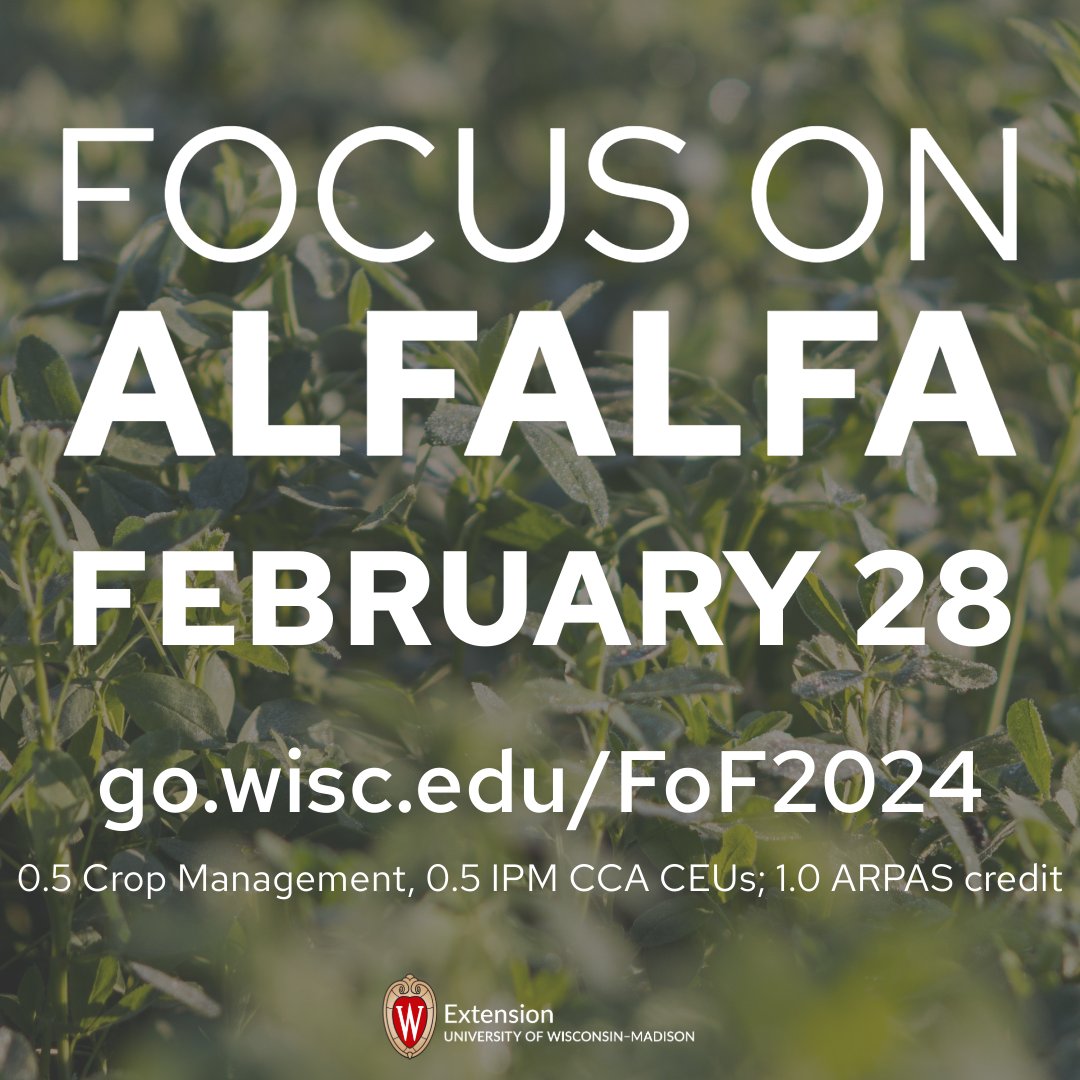 It’s not too late! Register today for a free Focus on Alfalfa webinar featuring Dr. Kim Cassida of @MSUExtension, Dr. Mark Renz, Dr. Emily Bick @bick_emily, and Scott Newell of @UWMadisonExt. Visit go.wisc.edu/FoF2024 to register & read more! 🌱🌾