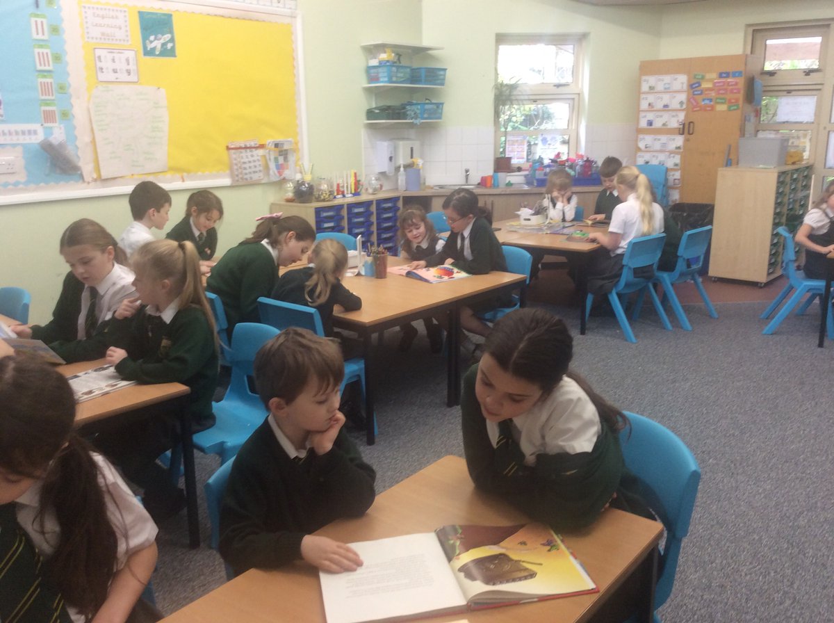 WideyOak tweet media