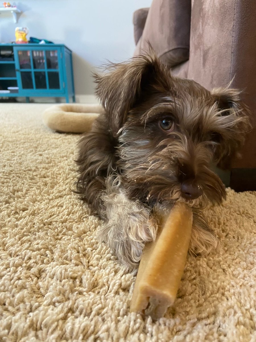 My latest project! He's definitely been keeping me busy...