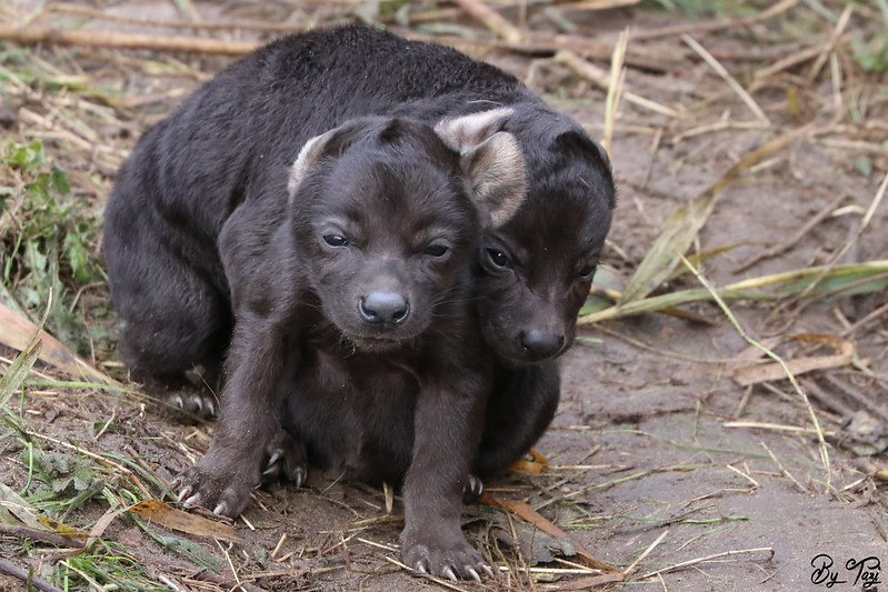 HourlyYeen tweet media