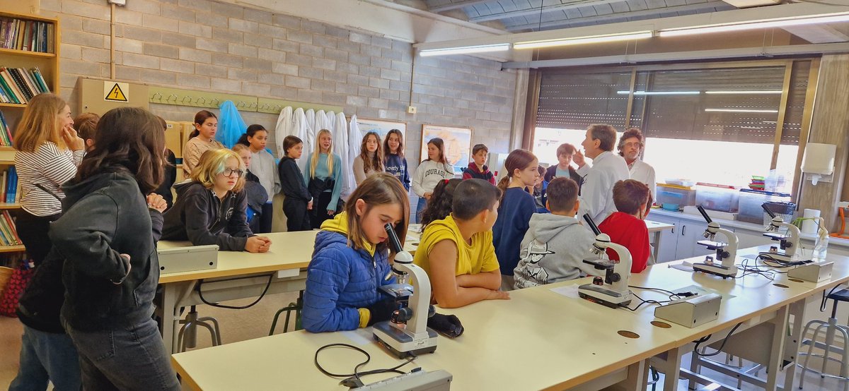 Insdrpuigvert tweet media