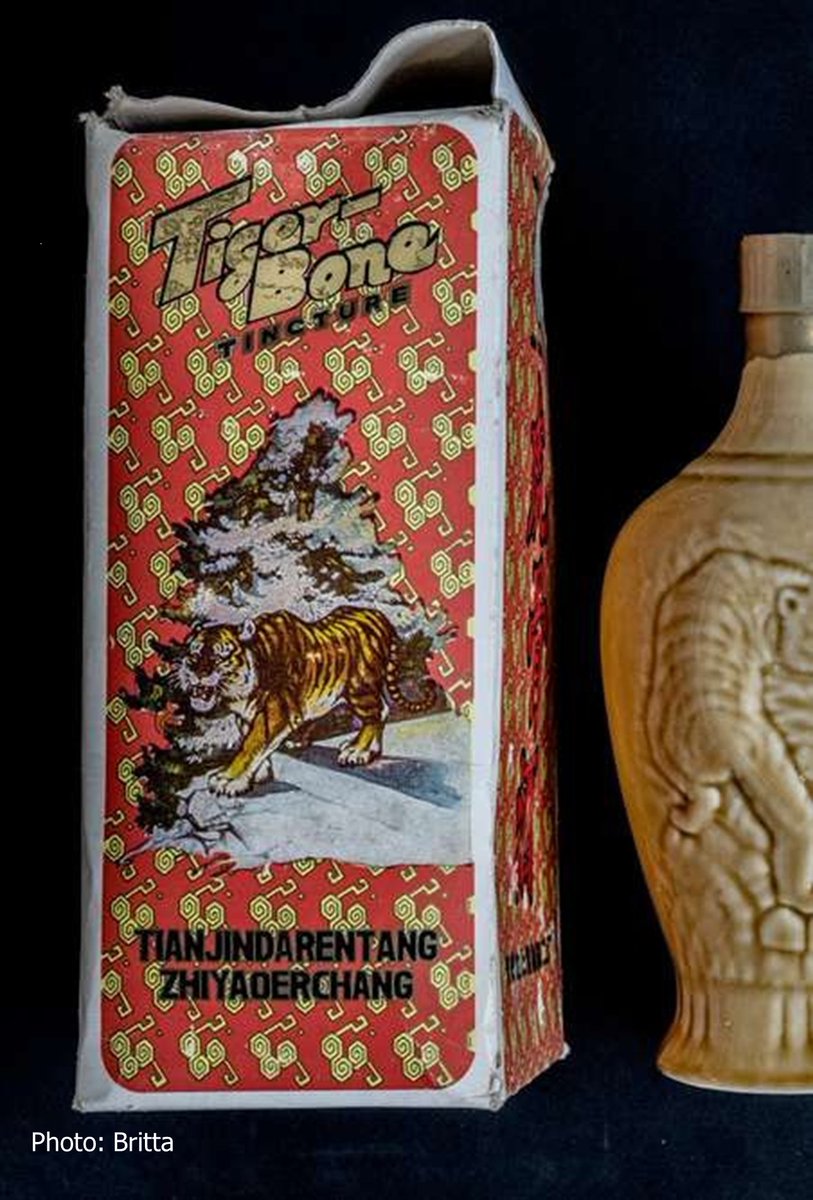 Criminelen gebruiken ons land om op grote schaal handel te drijven in traditionele Chinese medicijnen (TCM) waar bedreigde dieren en planten in worden verwerkt. Dat toont een undercover-onderzoek aan van SPOTS <a href="/IUCNNL/">IUCN NL</a> <a href="/Berenbos/">Bears in Mind</a> en <a href="/EarthLeagueInt/">Earth League International</a> 

stichtingspots.nl/nieuws-blog/