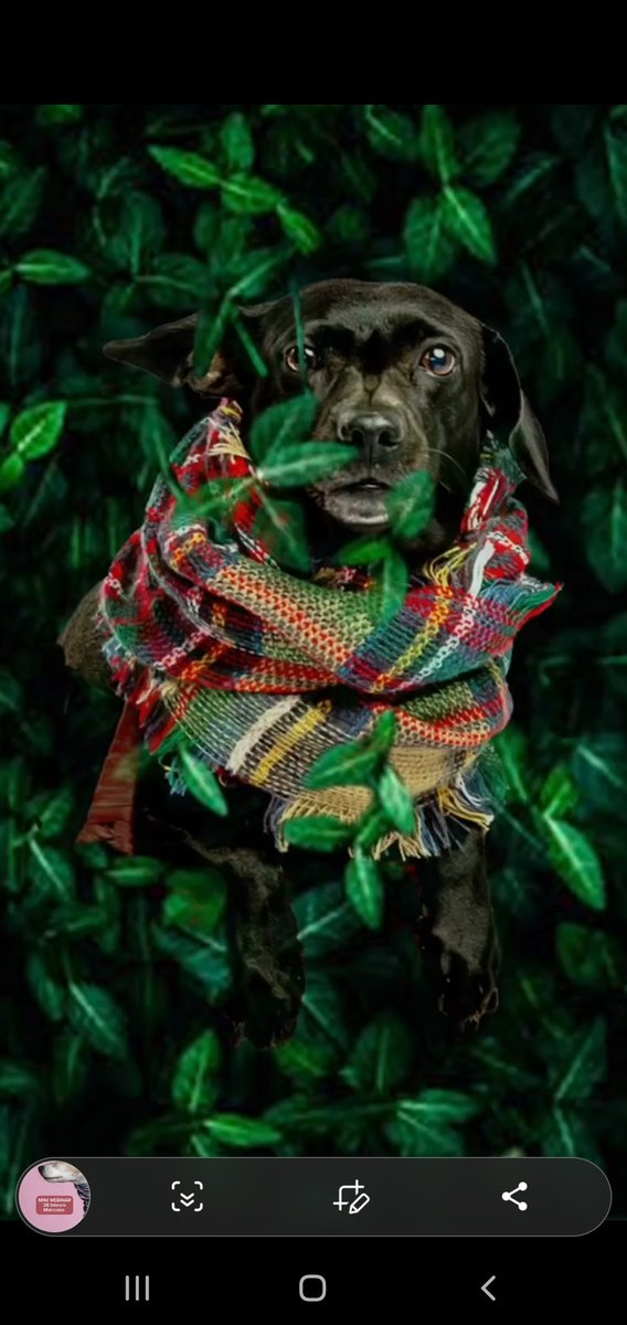 ¿Te encantaría tomarle unas muy buenas fotos a tu mascota?
Tenemos una súper charla con la fotógrafa Juanita Ripepi este miércoles 28 y además es gratuita!
Escríbenos por DM, también puedes ver la invitación en nuestra cuenta de Instagram <a href="/tula_ve/">TULA</a> y escribirnos allí .