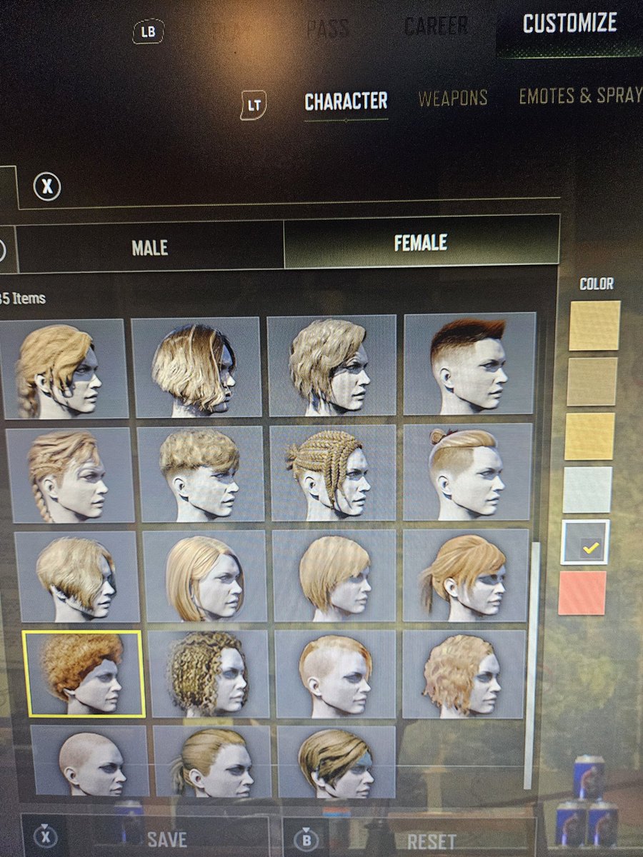 Xelaward tweet media