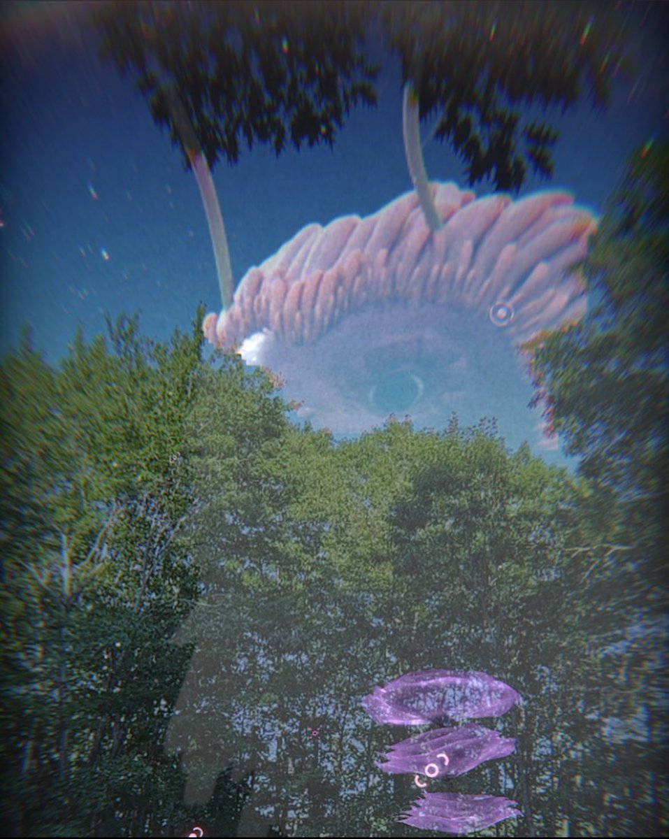 Calling all researchers! We have been gathering plenty of data on the fearsome battle behavior of the Overbeasts, but know very little about their more peaceful activities. 🌱

Have you caught a glimpse of your creature outside of battles? Send any evidence you can gather! 📷