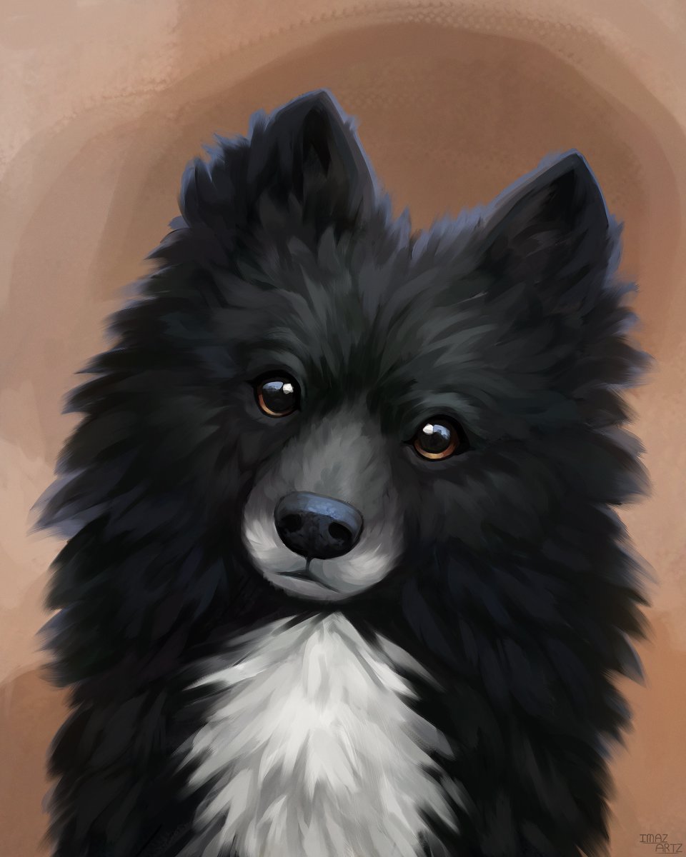 It's been a while but I got to draw this beauty for a petportrait recently <3 >U< 

#digitalart #pets #digitalillustration #ArtistOnTwitter