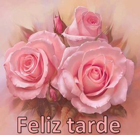 Adriana Sanchez (@adrianuquiz) on Twitter photo 