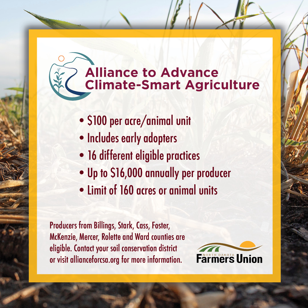 NDGrainGrowers's tweet photo. Calling all farmers! The Alliance for Climate-Smart Agriculture benefits the soil AND puts money back in your pocket! Curious about how you can earn $100 an acre or animal unit and improve soil health? Contact us or go to https://t.co/4MvKhi18ng for more information! https://t.co/yjj8wvseSf