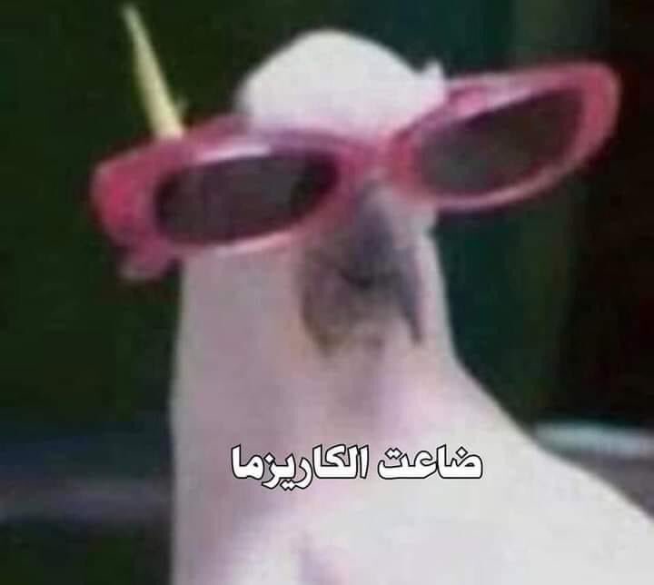 لما افتح أستوري والاقيها just now