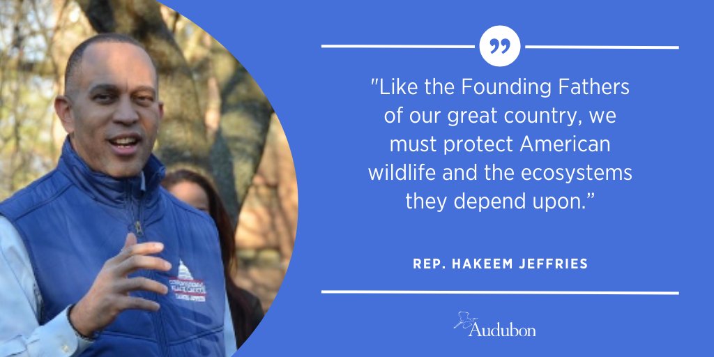 audubonsociety's tweet photo. This #BlackHistoryMonth, we recognize the leadership of @RepJeffries for his commitment to addressing the climate crisis and preserving biodiversity. https://t.co/sU2P7ZMTk0