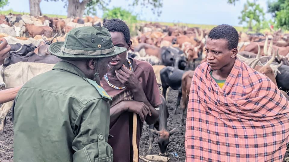 parmundoro's tweet image. Miaka yote baada ya Uhuru wafugaji tumekua maadui wa Taifa hili lakini katika miaka ya #Samia Kumekua na hatari zaidi
@Mwabuk2Boniface @Oleshangay @JoelHamisMsuya @JoelyMeitaya @MariaSTsehai