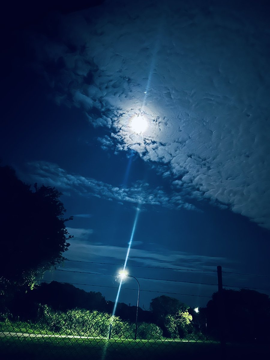LeitootMoquette's tweet photo. ~It is what it is #ClubMoss~
Sleep is super important.
Last night, i slept like a baby.
You can see why.
I think it was a full moon.
Moments like these remind me to
Invest in a better camera,
different Lenses,
camera-stand & camera-bag. https://t.co/gBsZ1oYQmZ