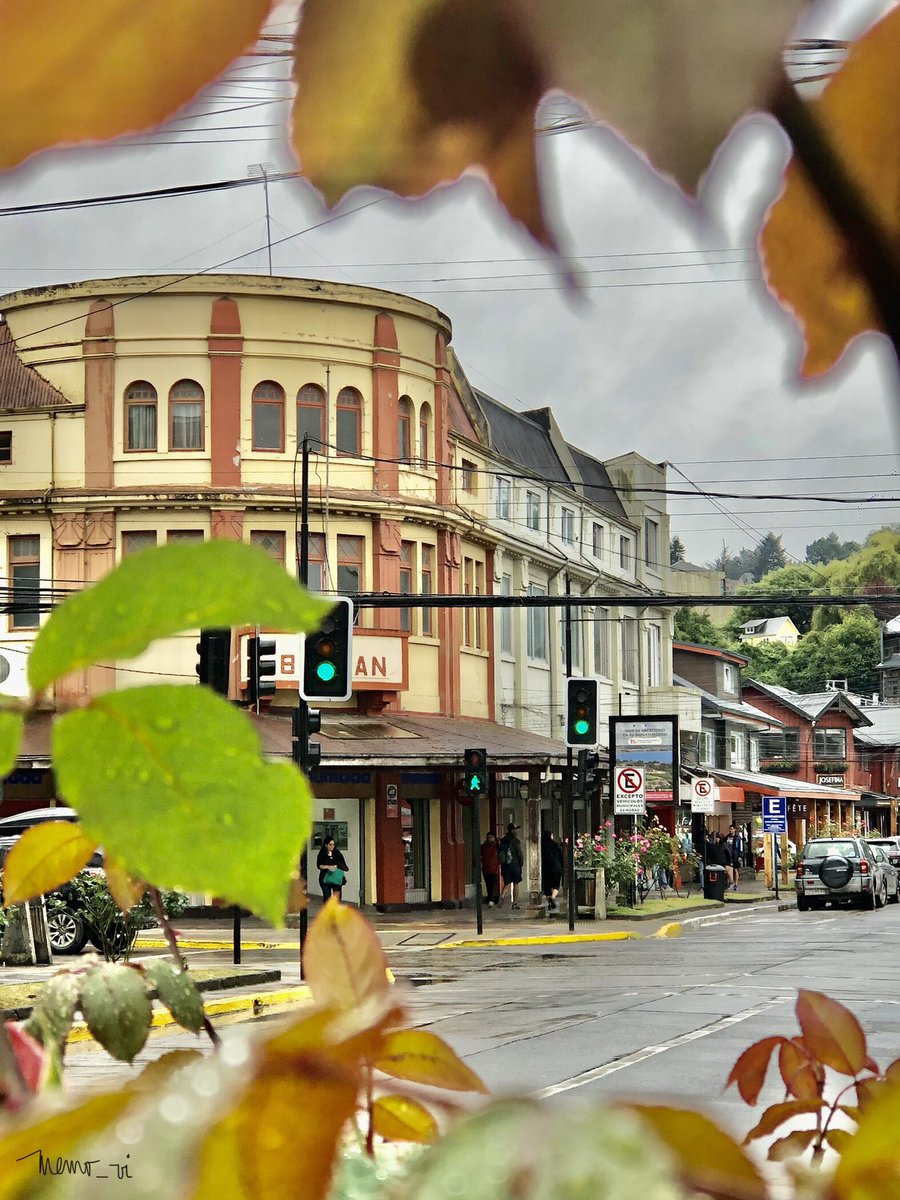 #ciudad de las #rosas… y sus necesarias #lluvias #puertovaras… no sólo de rosas vive el hombre (#Photography 2024)