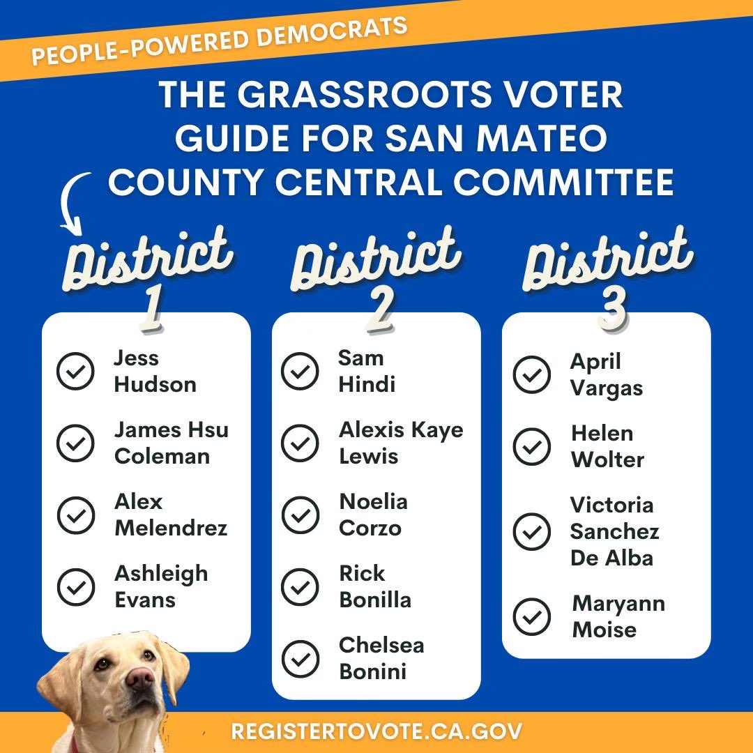 san mateo county friends :) central committee is one of the most important votes you can make because they directly influence the party platform and thus policy choices and election results. i’m supporting the people-powered democrats (the progressive slate!) and you should too