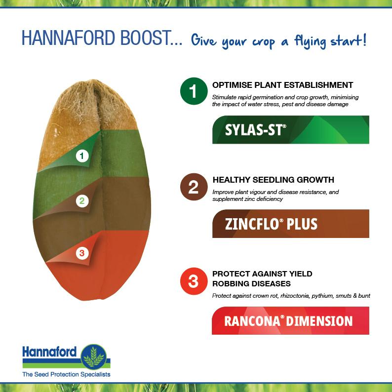 Hannaford_aus's tweet photo. ✔️Optimise Plant Establishment
✔️Promote Healthy Seedling Growth
✔️Protect Against Yield Robbing Diseases
✔️Specialist Seed Processing

https://t.co/QNER66iptB
 #Hannaford #SeedGrading https://t.co/EsYpl4qfxe