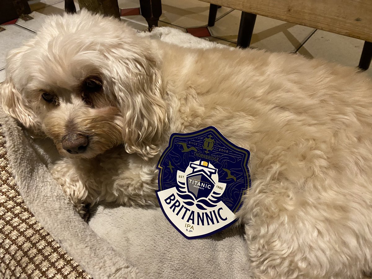 You’d have to ask <a href="/TitanicBrewers/">Titanic Brewery</a> &amp; <a href="/thornbridge/">Thornbridge Brewery</a> why they are naming their collabs after cruise ships that got sunk in the First World War but we’ll keep putting them on