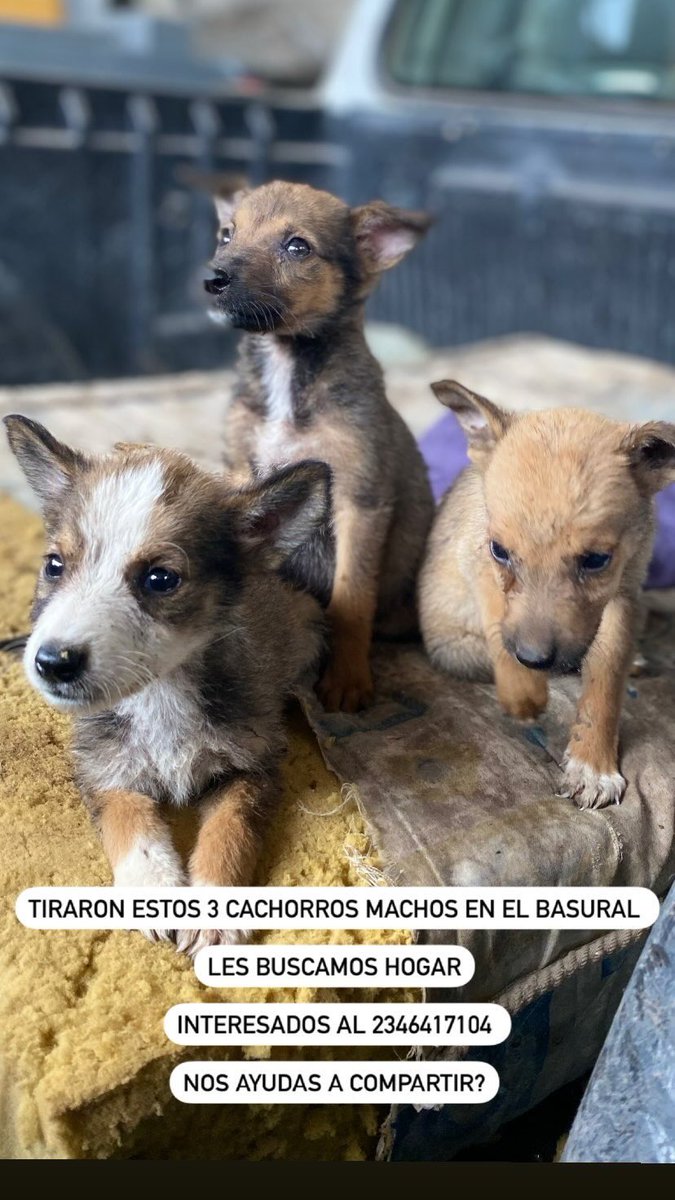 tamyfaccini's tweet photo. Twitter hace lo tuyo 

📍Chivilcoy https://t.co/O7X8Pspav4